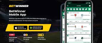 Everything You Need to Know About BetWinner Inscription 16