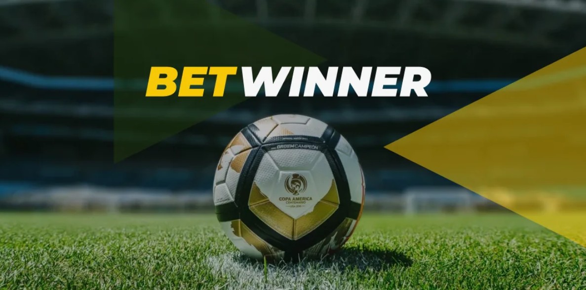 Découvrez le potentiel de partenaire Betwinner